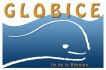 Logo Globice